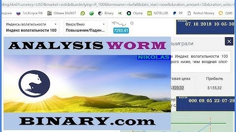 Analysis WORM Binary.com