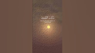 سورة الكهف// القارئ هزاع البلوشي