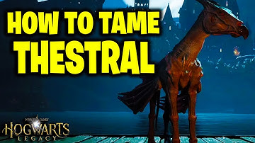 HOW TO CATCH A THESTRAL! HOGWARTS LEGACY