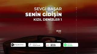 Sevgi Başar - Senin Gidişin (Official Audio)
