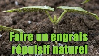 Faire un engrais et un répulsif naturel