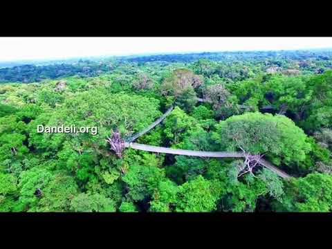 Canopy Walk Dandeli