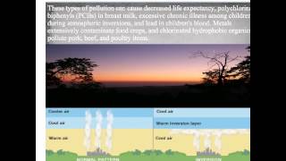 APES Ch 3 E.mov Net Worth