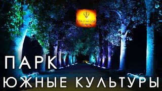 картинка: Парк 
