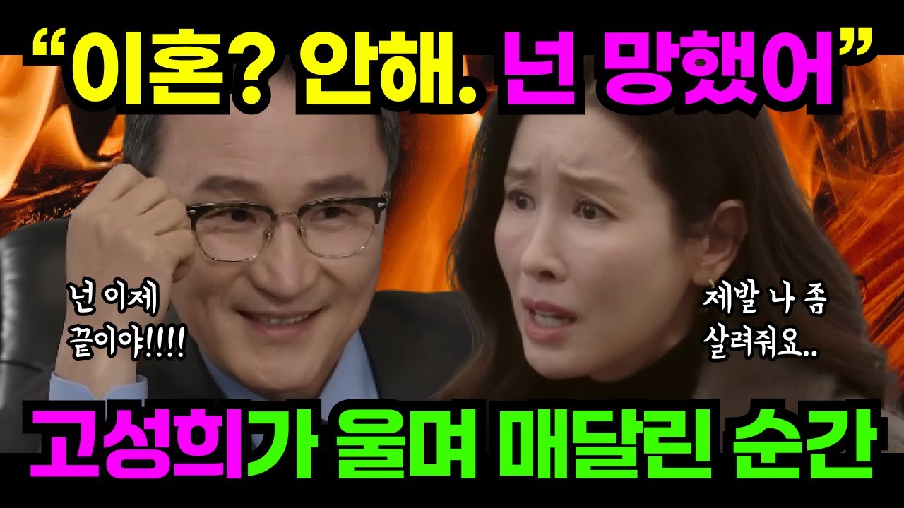 [화려한 날들] “왜 이혼을 해?” 그 한마디에 고성희 인생이 무너졌다 | 화려한 날들 | 드라마 예측 |