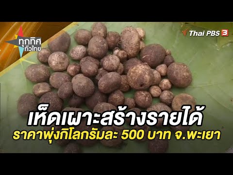 ทุกทิศทั่วไทย | 19 มิ.ย. 66