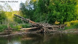 جمال الطبيعة الخلابة في كندا تصويري في الربيع والخريف جولةرائعةمنتزهات تورونتو canada natural beauty