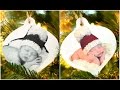 DIY | How to Make Christmas Photo Ornaments!