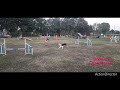 23/8/24 CHAPTER 3 - 2 TIGHT TURNS FROM AN OPEN ANGLE step 8 turns on 3 jumps