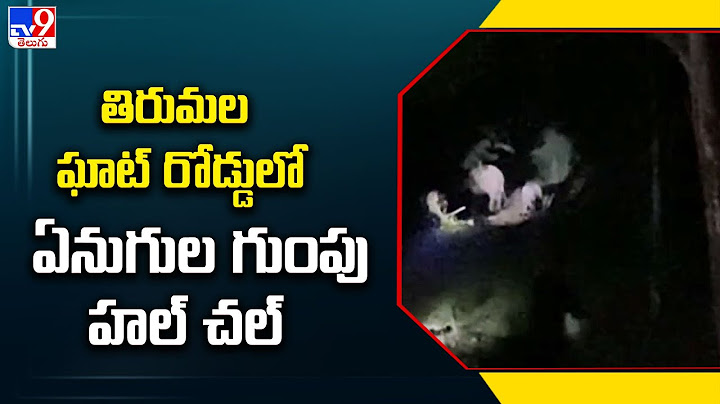 Tirumala : తిరుమల ఘాట్ రోడ్డులో ఏనుగుల గుంపు హల్ చల్ - TV9