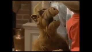 Zboczony Alf - Parodia (2/2)