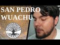 San Pedro-Wachuma. El abuelo olvidado  | Experiencia | Efectos | Visiones | Ceremonia | Lecciones