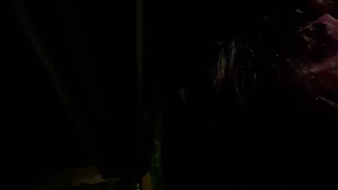 Drunk driver Nicole Reffitt