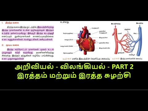 Blood and blood circulation Tnpsc group1/2/2A/4 |இரத்தம் மற்றும் இரத்த சுழற்சி