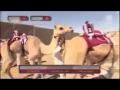 شيلة يامعزه يانادر ياسطورة اداء حسين الكوري تنفيذ الوحش 911