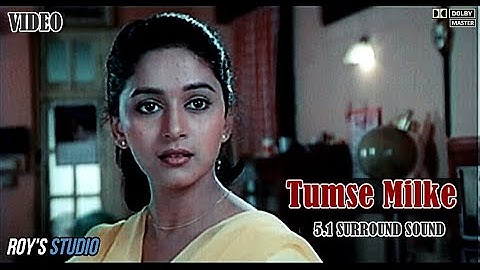 Tumse Milke (Roy