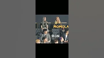 The Reaction Of Kpop Idols To Hwasa Mamamoo Hwasa 