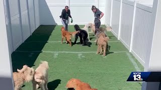 WVTM 13 Chronicle:  New dog resort in Birmingham