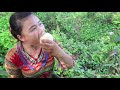 Ethnic Girl Find Wild Food and Climb Tree Pick Wild Fruits - Eating Delicious