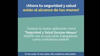 App seguridad y salud división minera screenshot 3