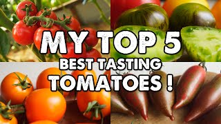 TOMATOES, MY TOP 5 BEST TASTING VARIETIES!
