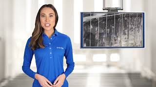 Three Things About Nu Brite