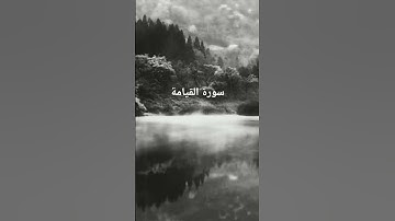 القرآن الكريم #المصحف #اكسبلور #المصحف #تلاوات_رائعة