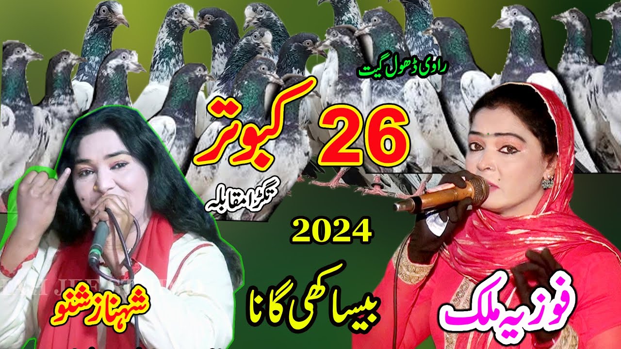 Chabbi Kabutar | Tappy Mahiye New 2024 || Shanaz urf shano Fozia Malik | New Dhol Geet 2024