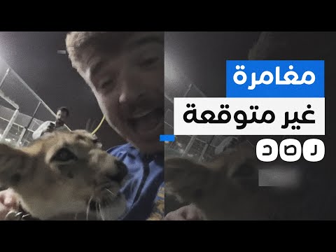 رحلة البحث عن البيرة في قطر تقود مشجعان إنجليزيان للتعرف على الثقافة العربية