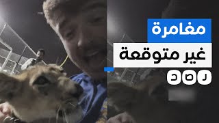 رحلة البحث عن 