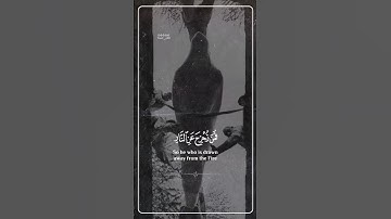 تلاوة مبكية خاشعة ..{ كُلُّ نَفْسٍ ذَائِقَةُ الْمَوْتِ } .. من سورة العنكبوت .. ياسر الدوسري