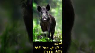 حيوانات ذكرت في القرآن الكريم #animals #معلومات_عامة #حيوانات #سؤال_وجواب