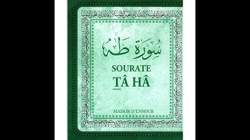 أنس بوهية: آيات بينات من سورة طه