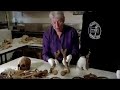 Mystery Of The Great Mary Rose Documentary On The Mysterious Sinking Of The Mary Rose