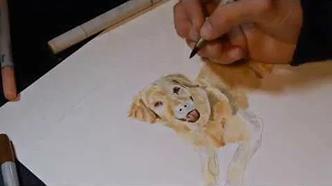 Copic Marker Dog Portrait Walk-Through By Sam Pogue