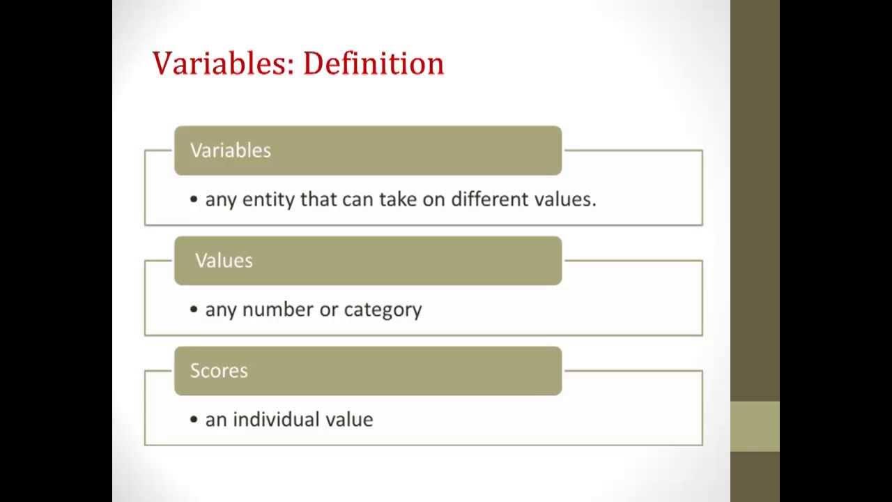Vue variables. Vue variables