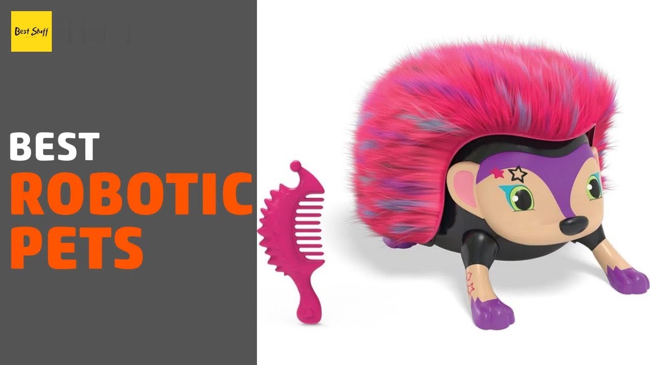 🌵5 Best Robotic Pets 2020 YouTube