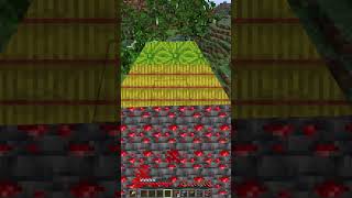 Minecraft 2D texture🤯