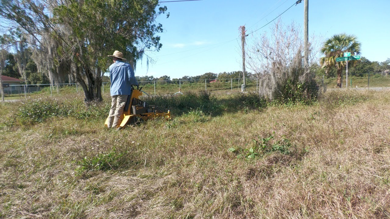 House Burned Down, I REMOVED 18 bags full of clippings. Neighbors were very thankful