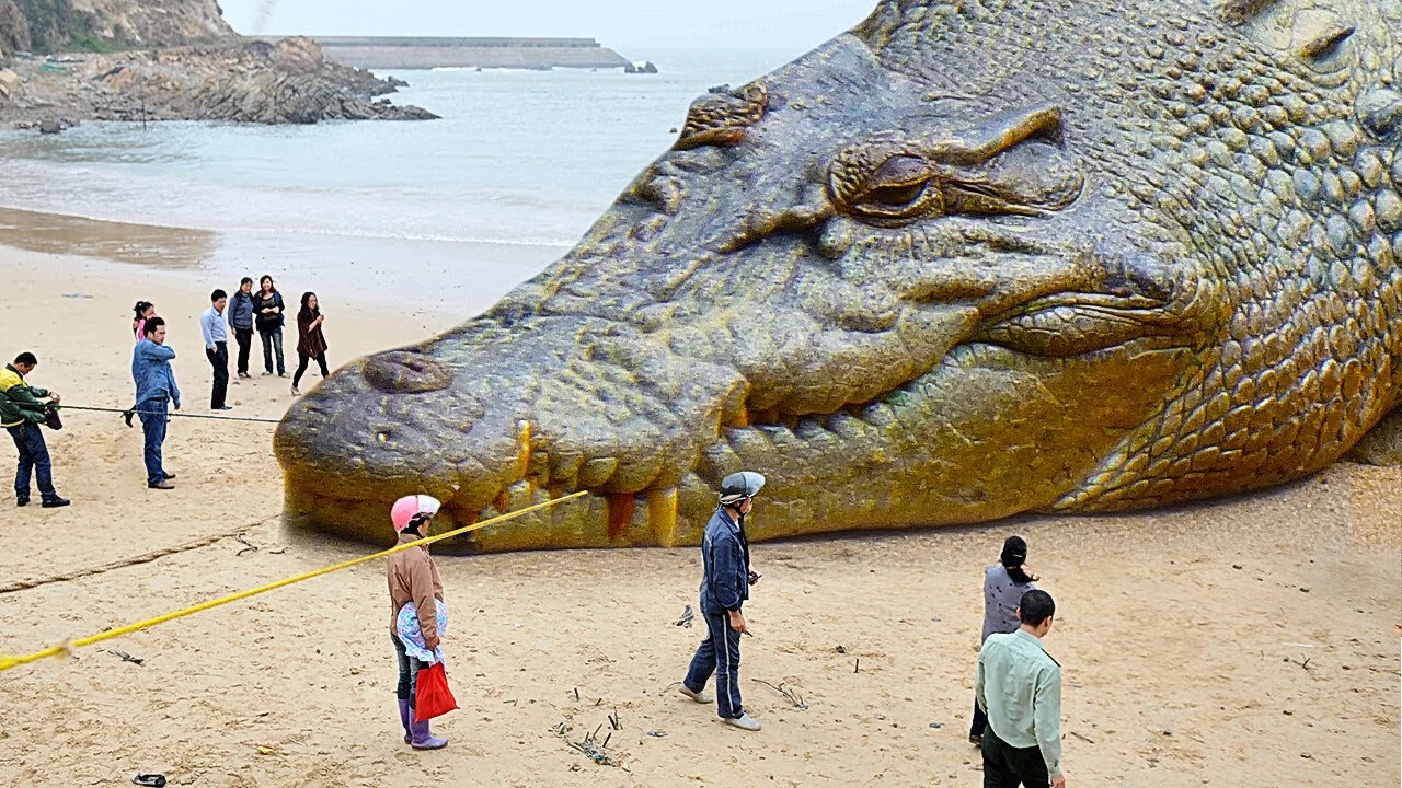27 Animales que no querr�as encontrarte