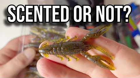 Mystery Tackle Box   December