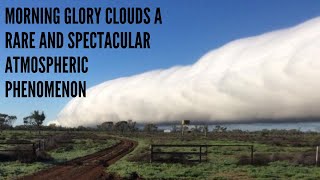 Morning Glory Clouds A Rare and Spectacular Atmospheric Phenomenon