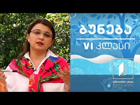 ვიდეო: როგორ გამოვყოთ მყარი და ნარევი?