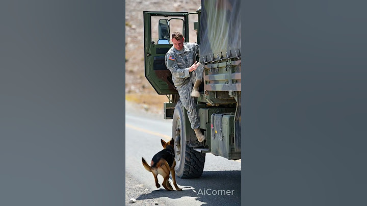 Heroic Military Dog Rescues Soldiers Just in Time! #rescue #animals #pets #dog