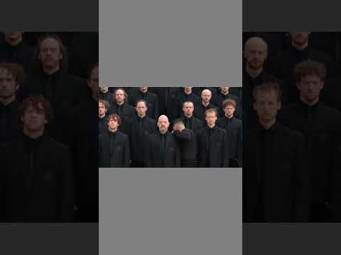I am trying a new content with AI! Thank you everyone for watching.