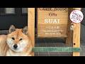 Guesthouse Gifu SUAI | Gifu, Japan | Hotel Review 🏩