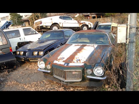 Abandoned in Japan: American Muscle-car Junkyard: Split Bumper Z28, 429 Mach 1 Mustang