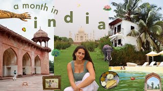 a month in india 🦚 exploring mumbai, bangalore, goa, agra, jaipur and delhi by nayna florence 75,129 views 10 months ago 26 minutes