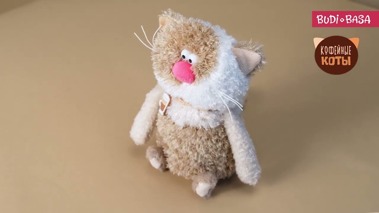 Coffee cats Latte CCat19-10