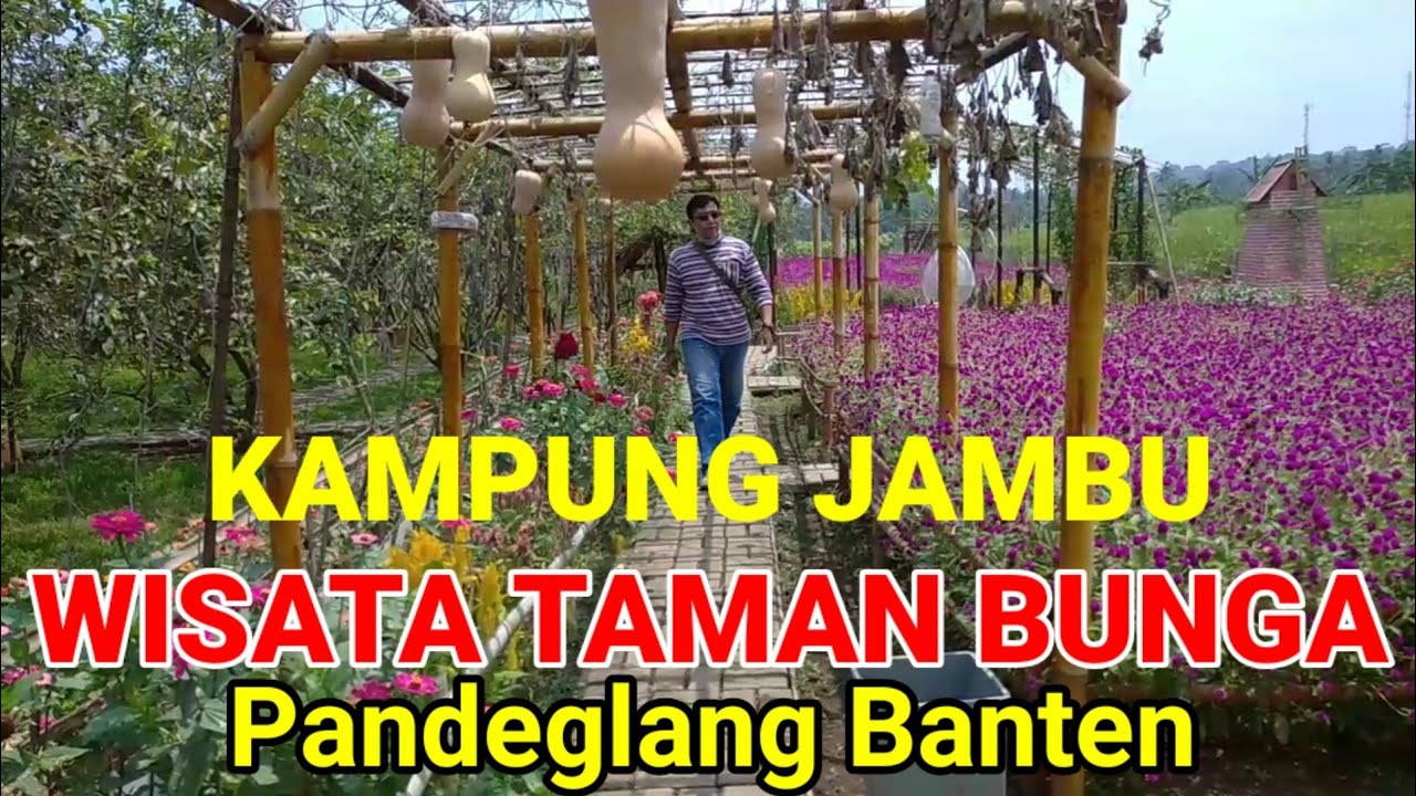 Featured image of post Taman Bunga Pandeglang Kampung Jambu Kali ini decyra akan membahas mengenai macam macam bunga hias langka beserta